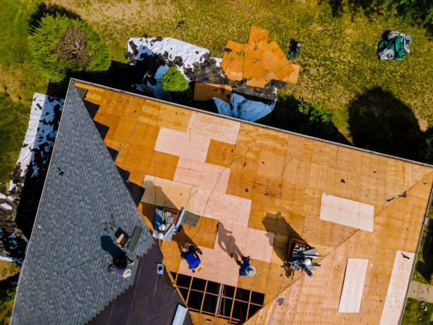 Best Metal Roofing Contractor  in Dowagiac, MI