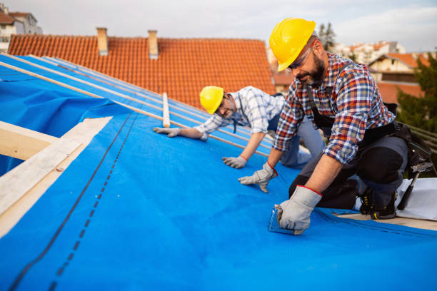 Best Roof Gutter Cleaning  in Dowagiac, MI