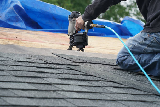 Best Storm Damage Roof Repair  in Dowagiac, MI