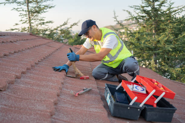 Best Roofing Contractor Near Me  in Dowagiac, MI